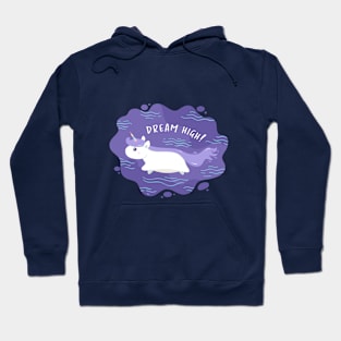 Flying Unicorn Hoodie